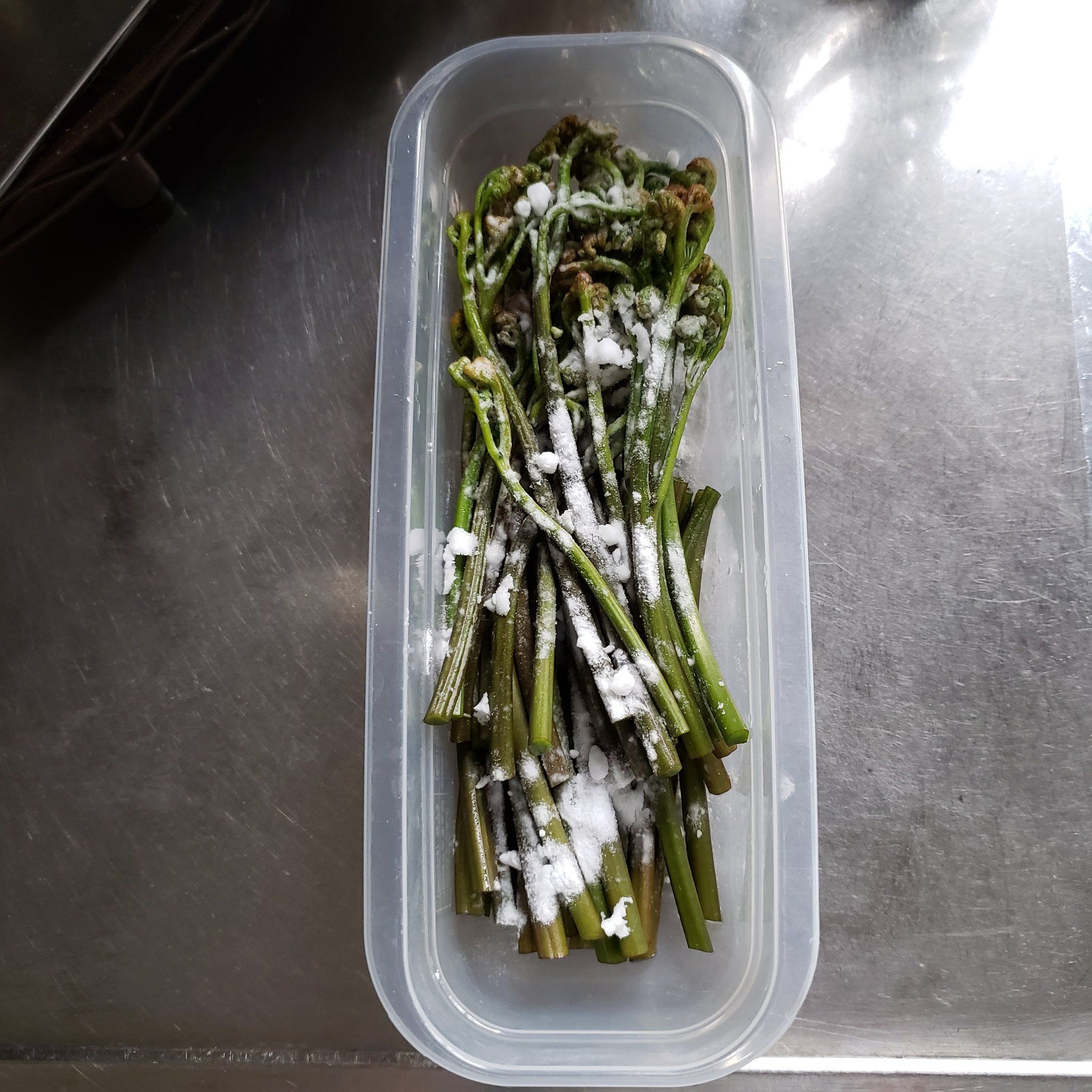 ট ইট র ふくらみ 何度でもお伝えしたいんだけどわらびの下処理はレンジでパスタ作る容器が便利なんだ 洗いわらびに重曹と熱湯かけて落としラップして荒熱取れたら冷蔵庫 翌日ありえない程の青い汁が出来てるから何度か時間を置いて水を替えるだけ蓋に水切り