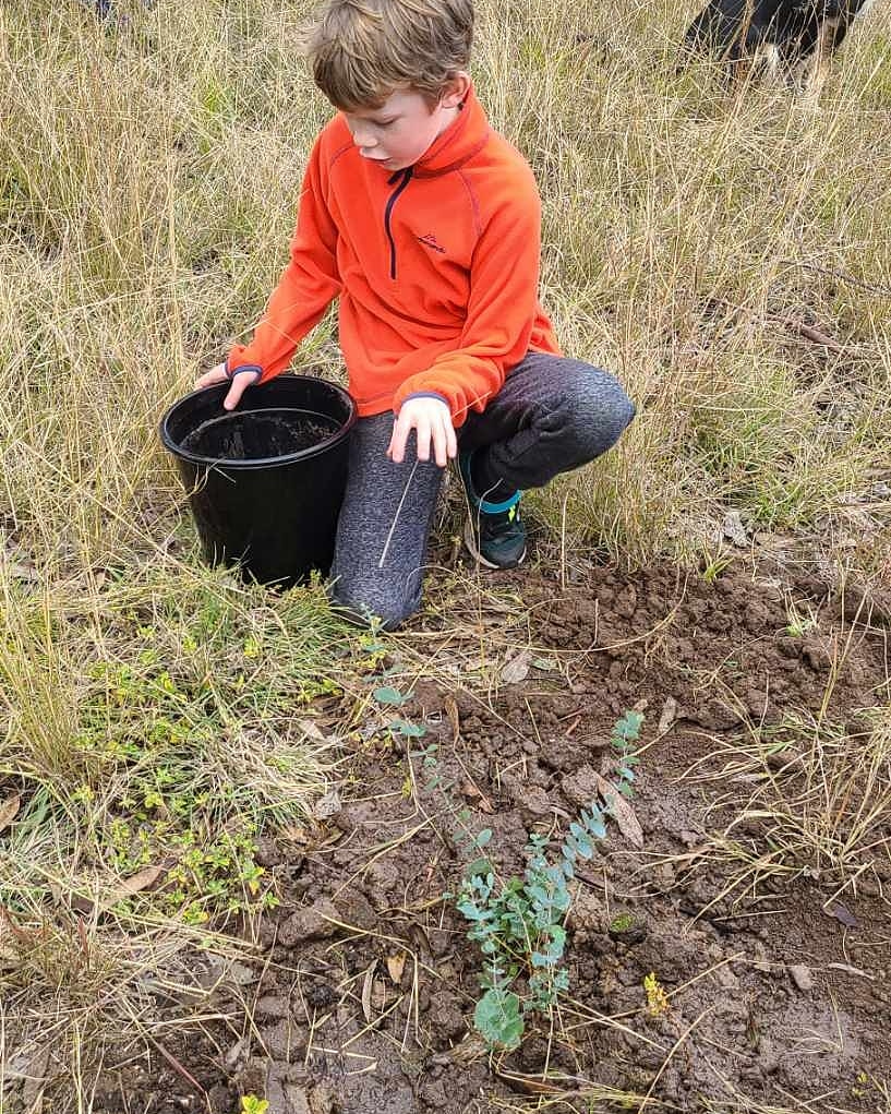 Week 25:Tree 25= SilverDollarGum no.3 in the park at #Appletree🍃 Ta for donating & helping @troppochappo plant it Flynn, Oscar,  Mel & @Wesleystokes9 #atreeaweek #tree25 #2021goals #eucalyptuspolyanthemos #nofilter #noplanetb #climatecrisis #renewableenergy #tree86 #earthshots