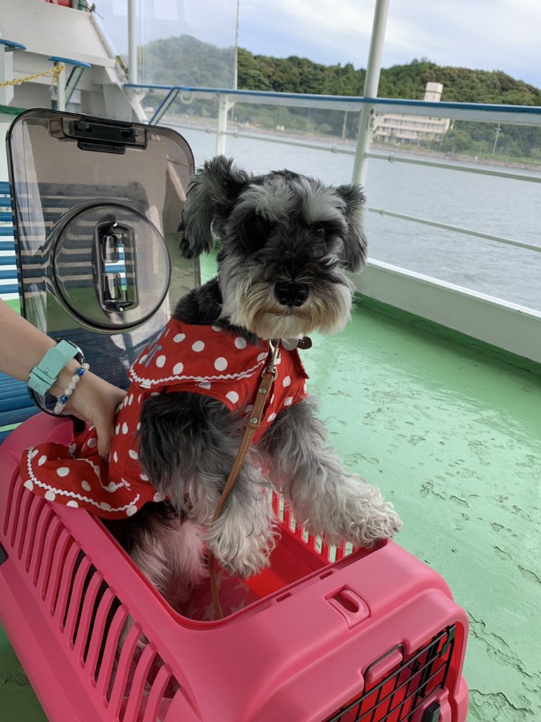 じゃらんクーポン Twitter Search Twitter