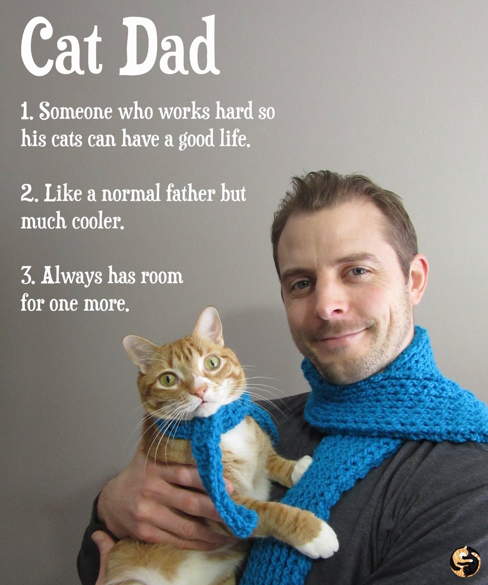 ColeTheBlackCat's tweet photo. Happy Father's Day to all the PAWSOME Cat Dads out there! ❤

#FathersDay #CatDads #ColeAndMarmalade https://t.co/SzAGuHYS8W