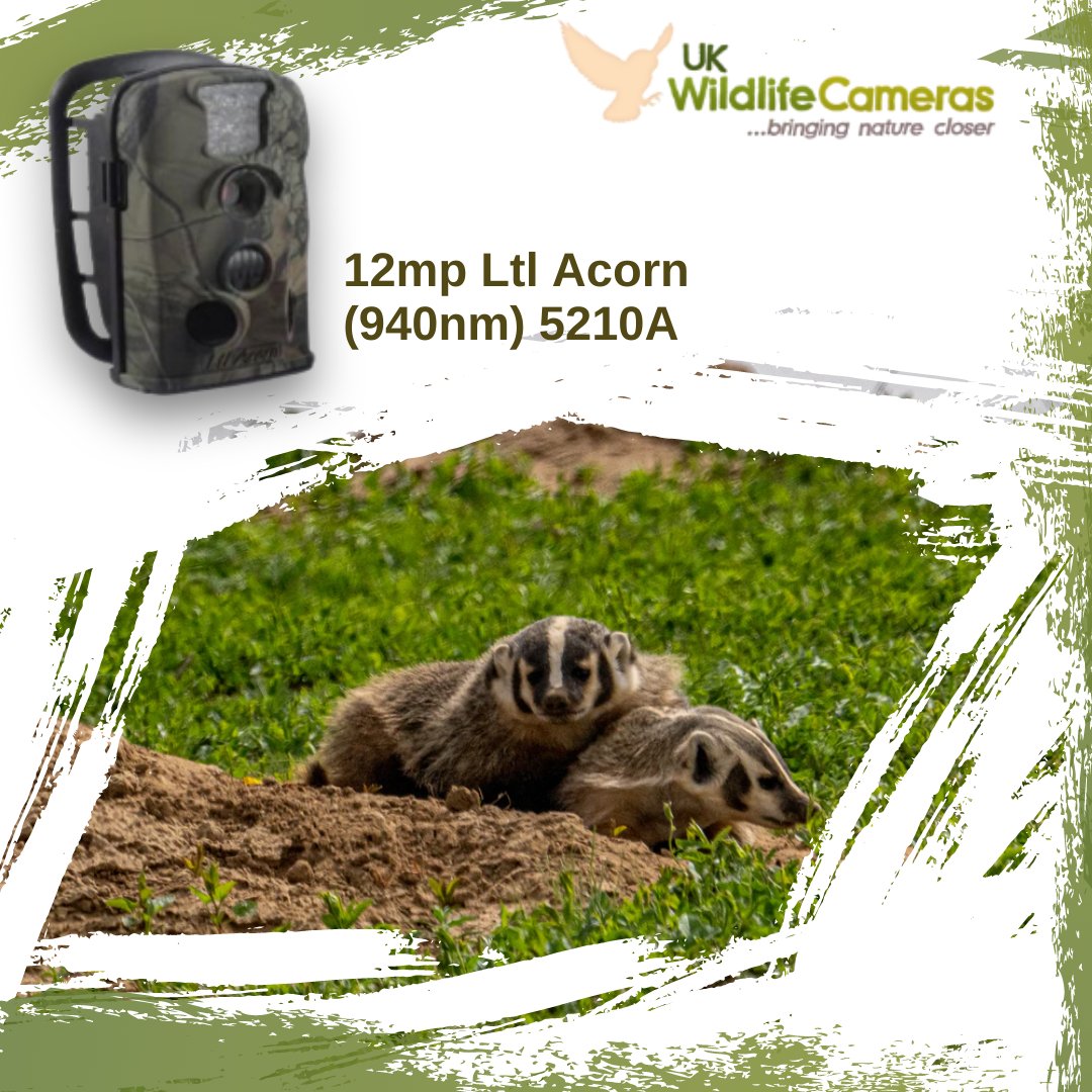 A very popular Trail Camera for quality and value. Very simple to use and easy to obtain great images and videos.  

To learn more about this product, visit our website at ukwildlifecameras.co.uk

#ukwildlifecameras #wildlife #camera #nature #trailcams