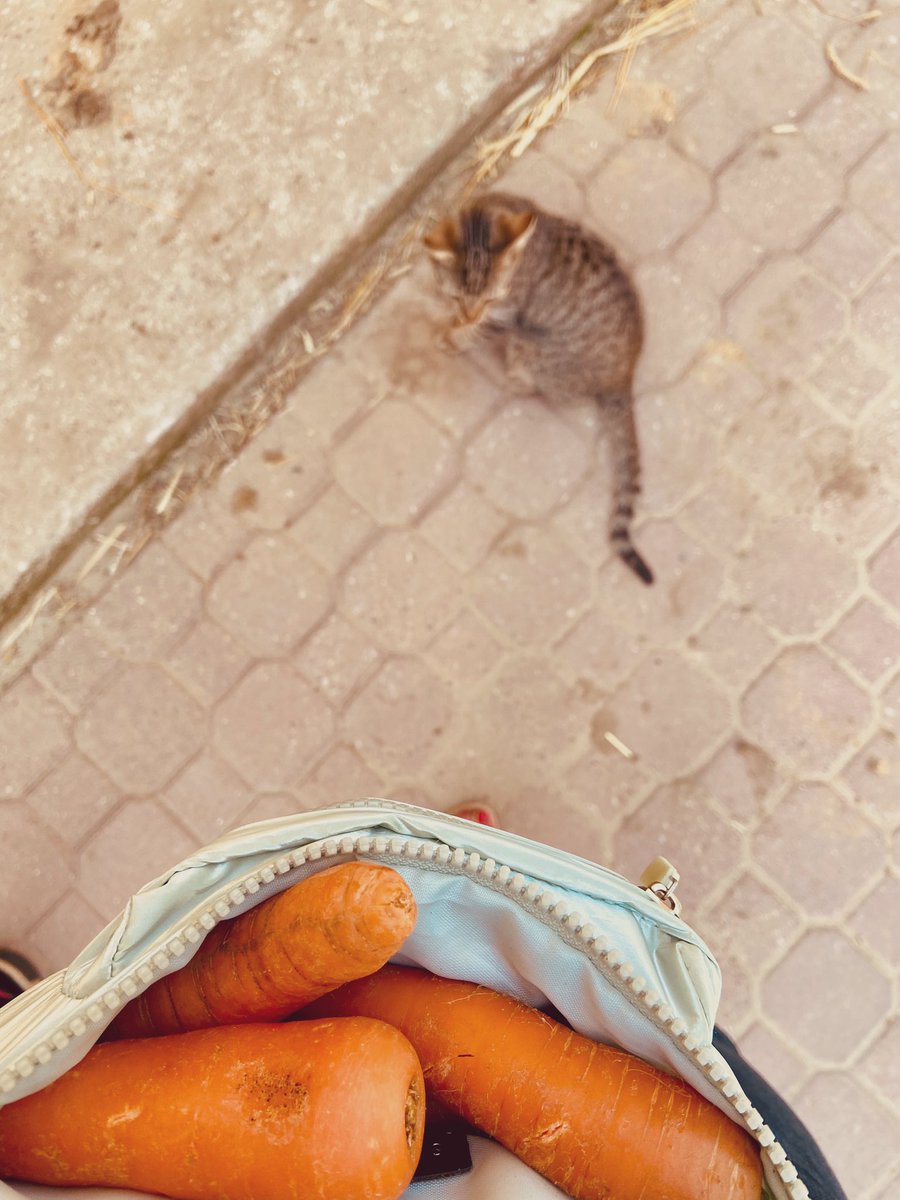 Asjienka's tweet image. #weekendstatus