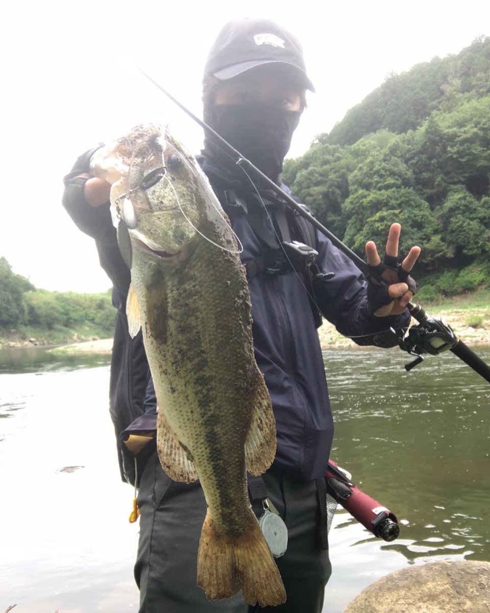 なおやん A Twitter 昨日は釣りオフ 今日は昼から高山ダム 増水で入りたいところに行けなくて まさかのランガン 45up2本 惜しかった39 ビーブルのスピナベサイトで フロッグマン入魂 あとは別の場所で 見つけた2匹中2匹を いつもと全く違うエリアが生きてて