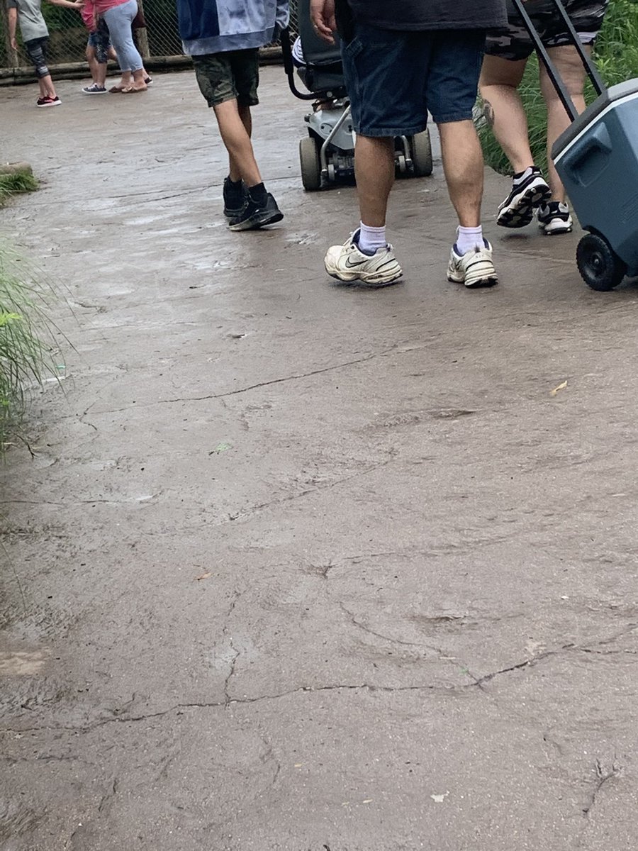 BigArmyDog's tweet photo. @mayordadx6 @DadShoes2 This Dad was hauling the cooler around the Cincinnati zoo all day. https://t.co/jP6FE5qvDs