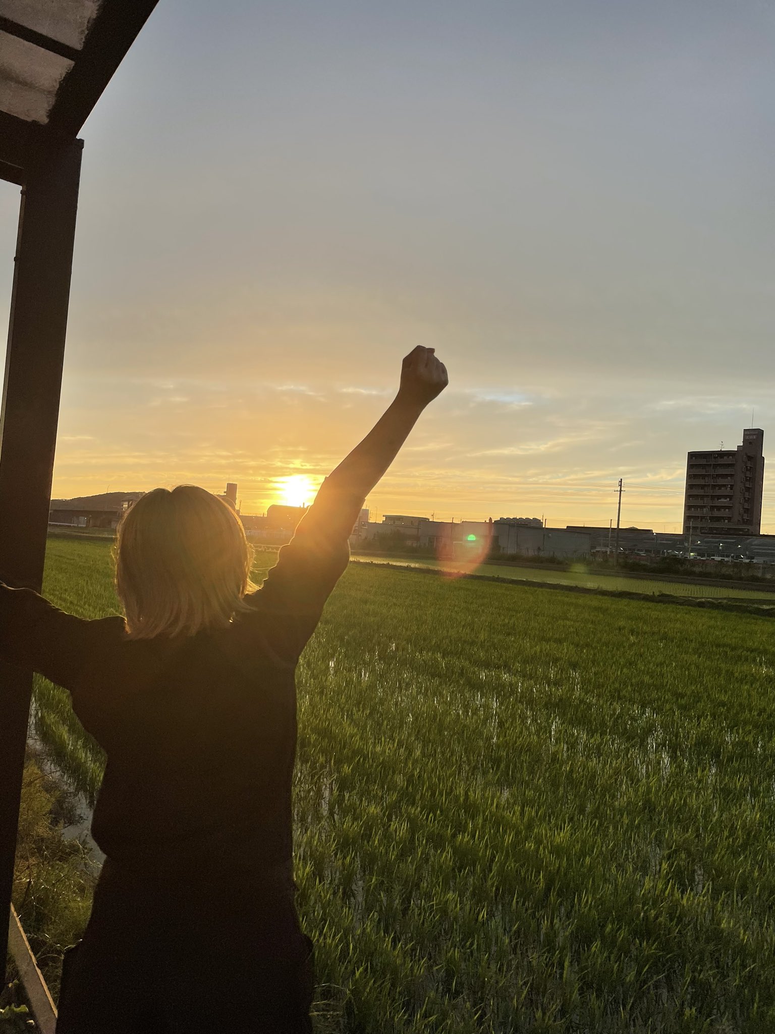 元気が出る写真 Twitter Search Twitter