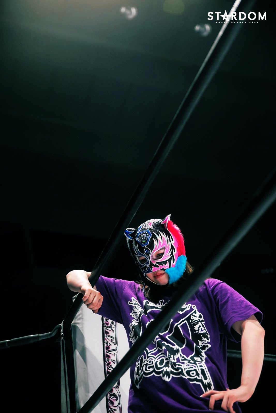 スターダム💜スターライト・キッド🐯🖤 on Twitter: