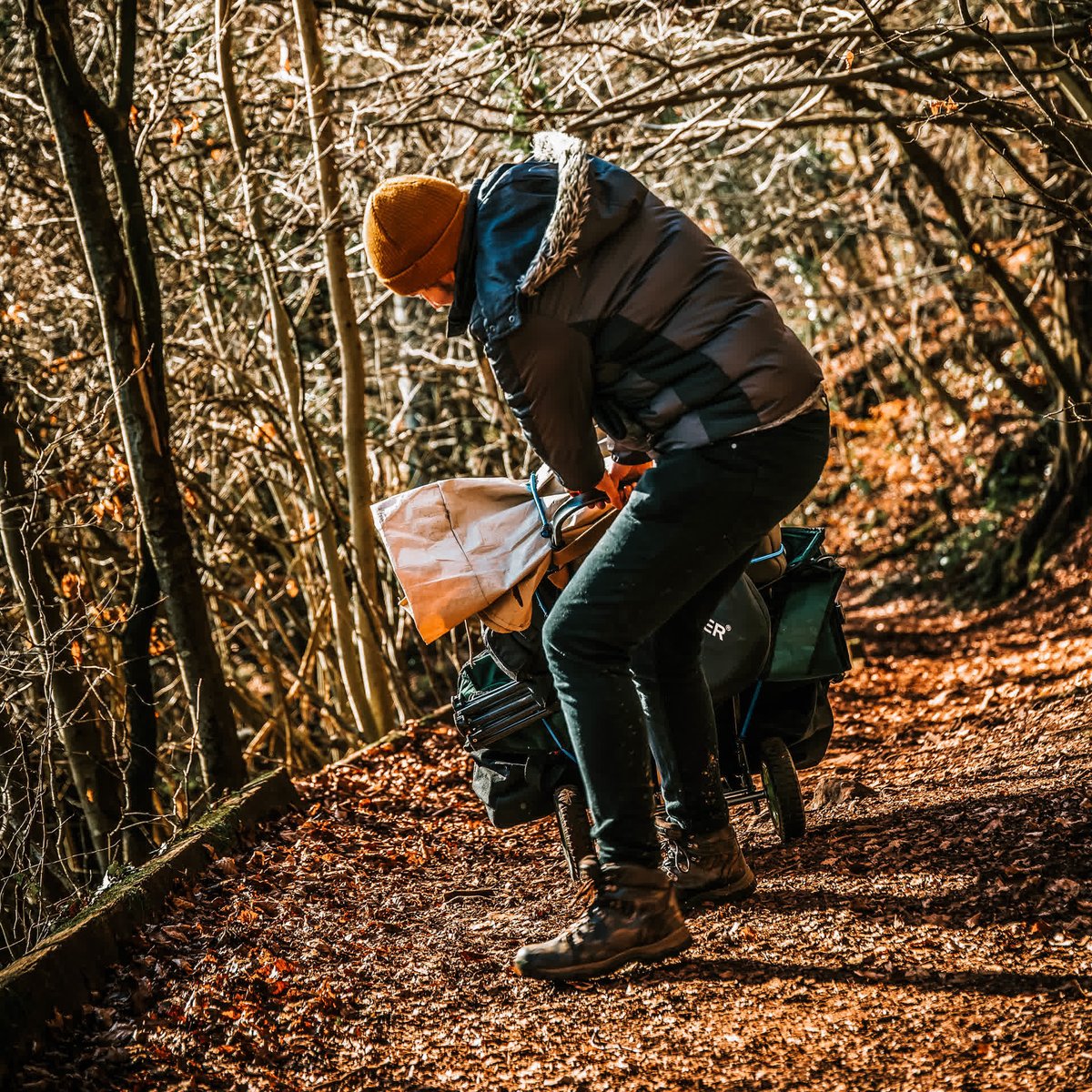 CineMerse tweet media