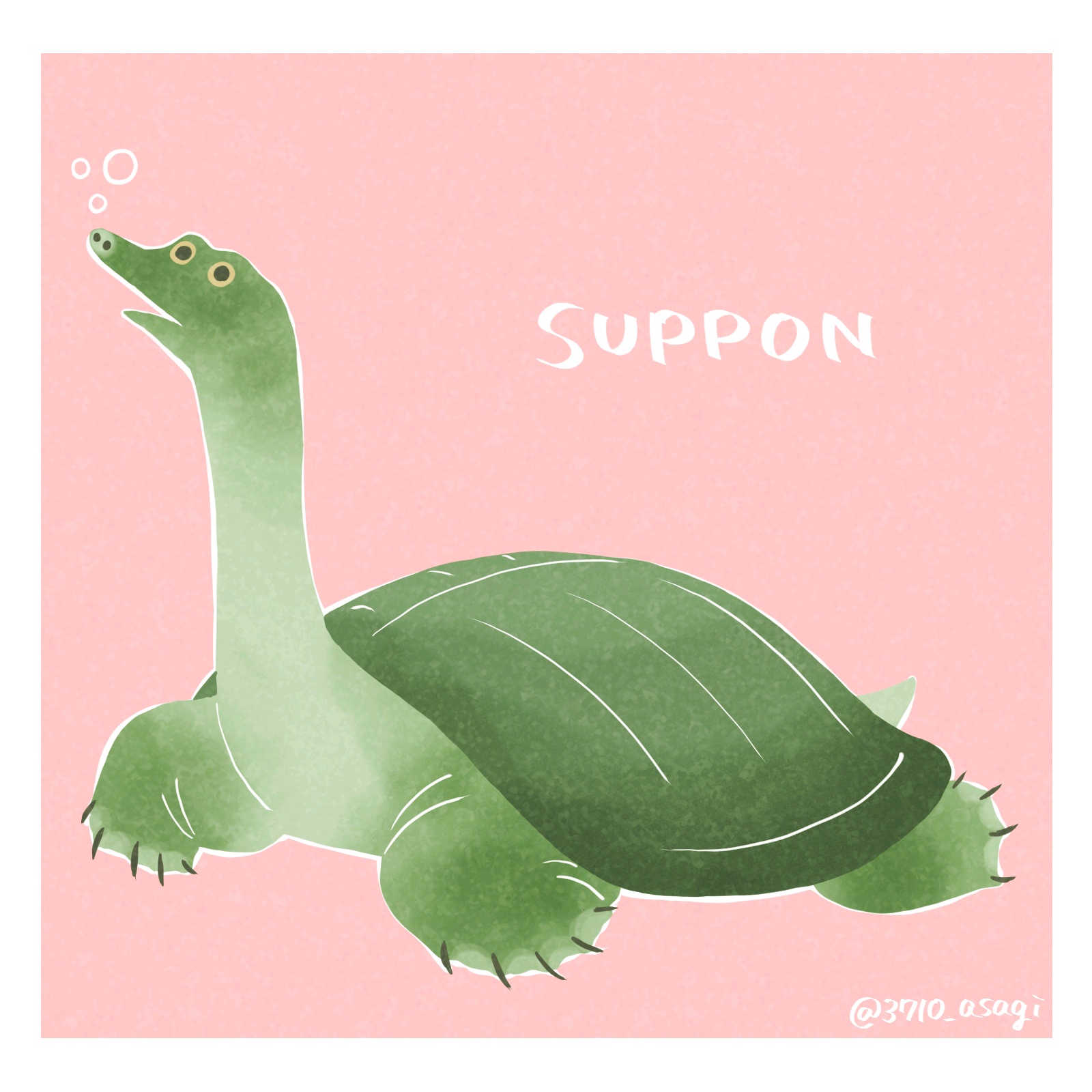 湊 スッポンらしさを保ちつつ可愛らしくデフォルメする描き方を模索中 イラスト Illustration 爬虫類 T Co Hcsnp6vn9z Twitter