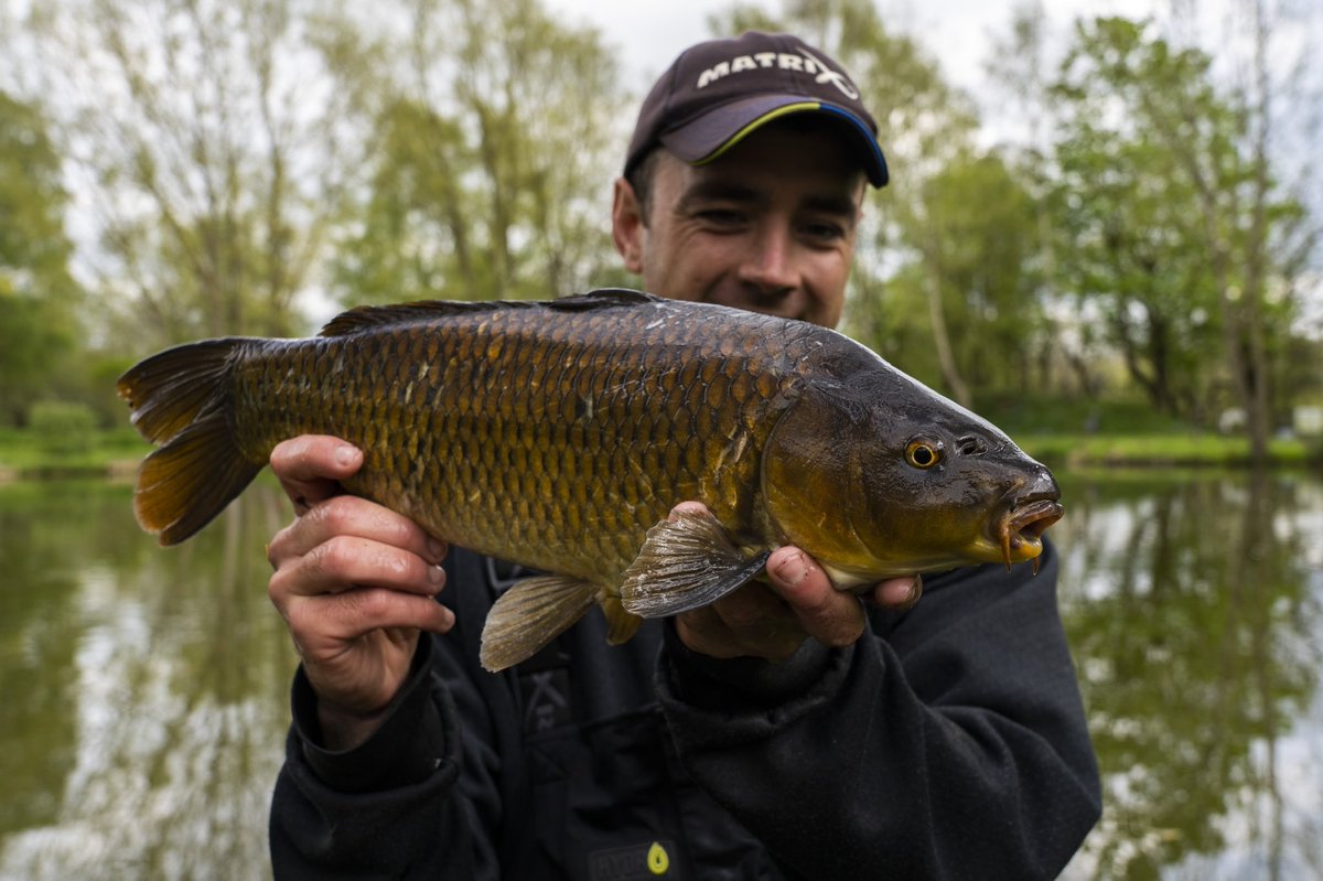 WatersEdgeTV's tweet photo. New video dropping at 5pm this evening, where we target a few commercial carp! 🎣😊🎥 https://t.co/dzVcv8vwao
