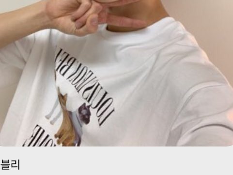 WayV Our Home Tシャツ LOUIS ver.（WAYV With Little Friends