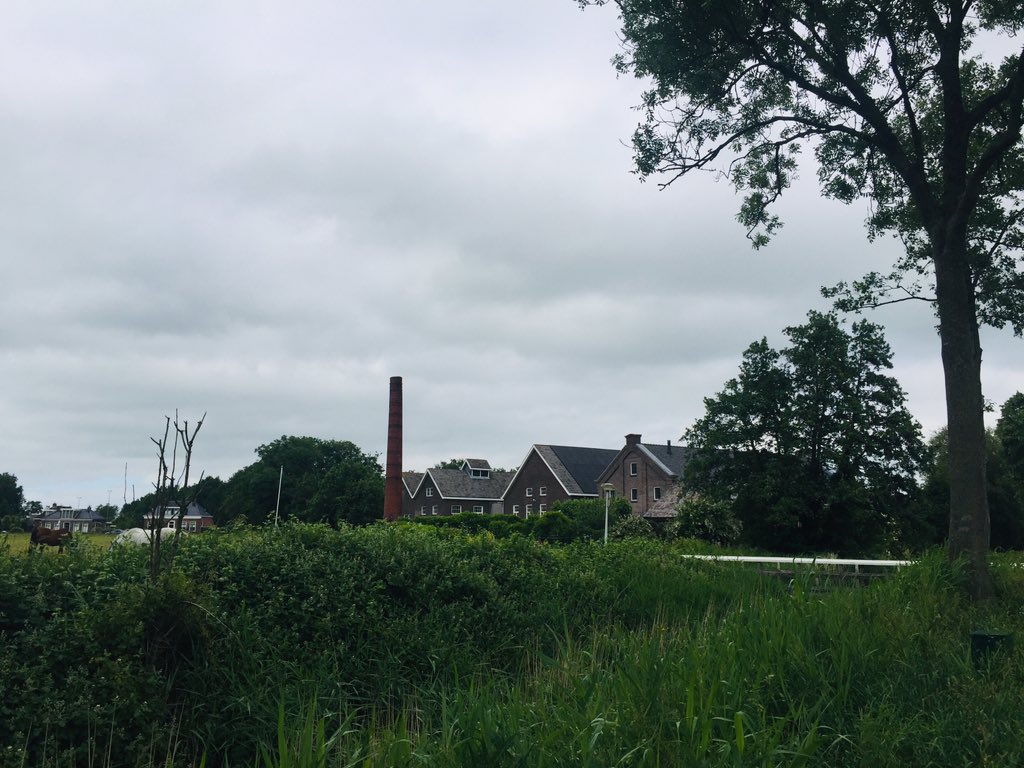 ElsvandenBerg2's tweet photo. Rondje 🚴♀️ in ‘t heitelân met pake Frans #Dokkum #DokkumerEe #Rinsumageest #DeFalom #Broeksterwâld #Damwâld https://t.co/xnpLfV42gq