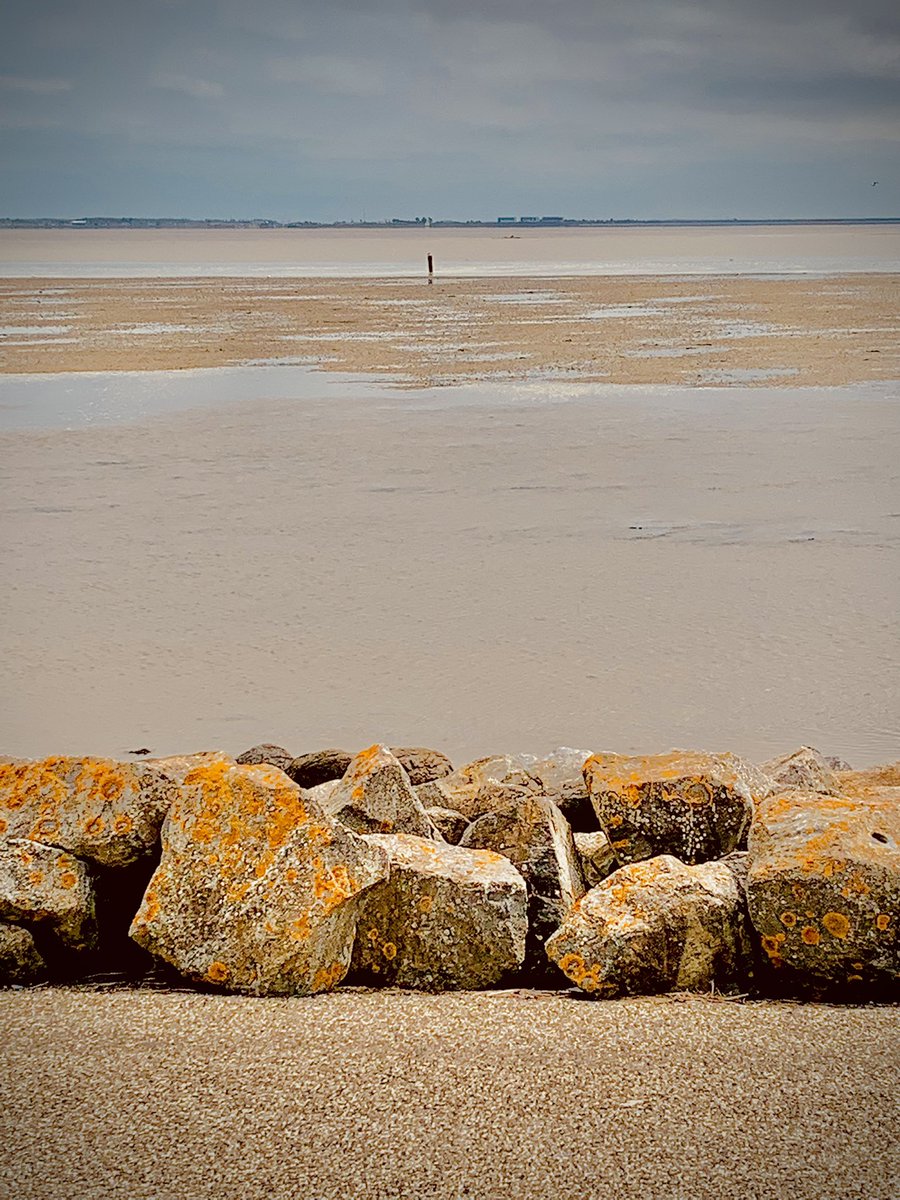 Vanmiddag m’n fijne groene trui verloren, toen ik zo aan het genieten was aan de Wadkant van de dijk van #schiermonnikoog. Ik ben een heel eind terug gelopen, maar ik denk dat  iemand ‘m al gevonden had, dat zou fijn zijn, maar hoe vindt de vinder mij?!