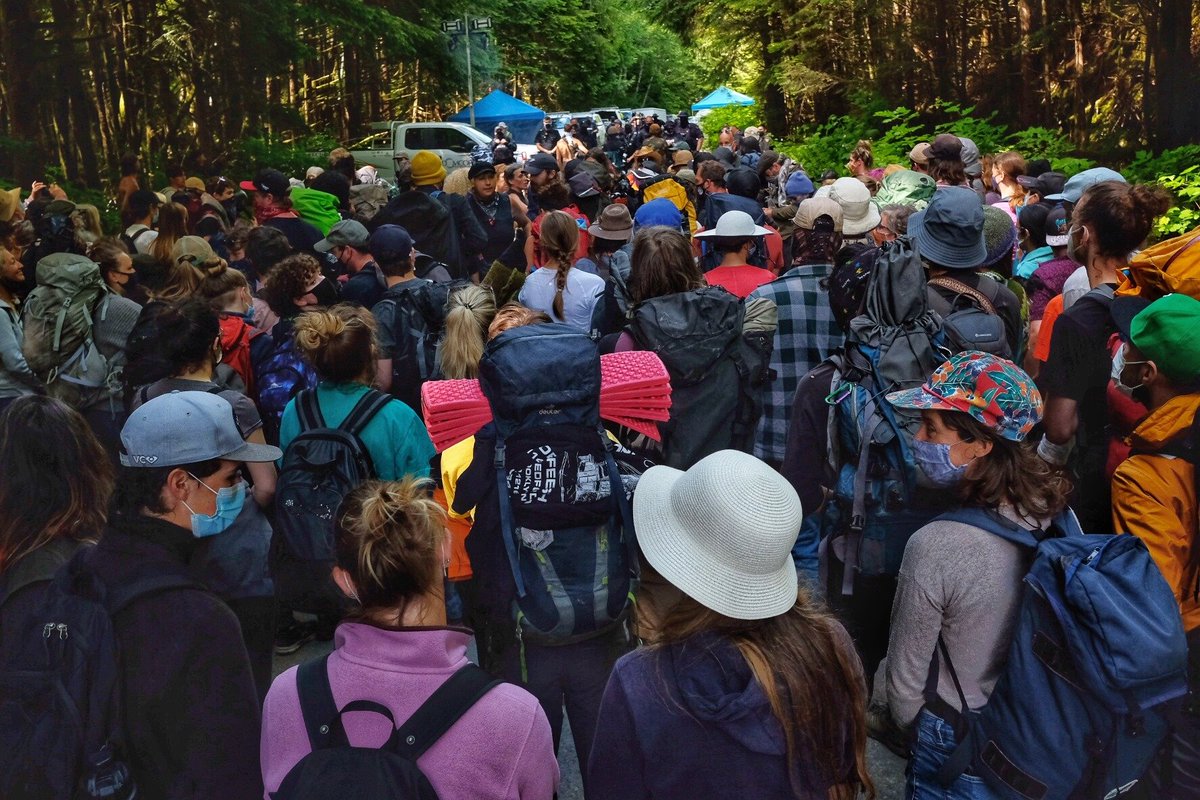 SaveFairyCreek's tweet photo. 🌲 Saturday’s Report🌲
2000 RD CAMP IS RETAKEN!
📸 @mikegraemephoto https://t.co/4lB7TCqJLL