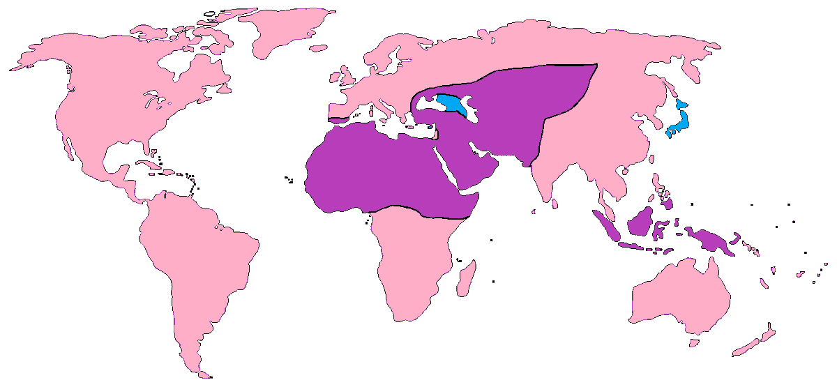 El Niqab en ZR-57, es un atuendo de guerra implementado por la diosa de la Guerra Azreth, aunque estas guerreras expandieron el shunismo, como pueden ver en este mapa, han logrado someter a los hombres y crear regímenes matriarcales.

Y no ha parado su expansión. 

#Religion