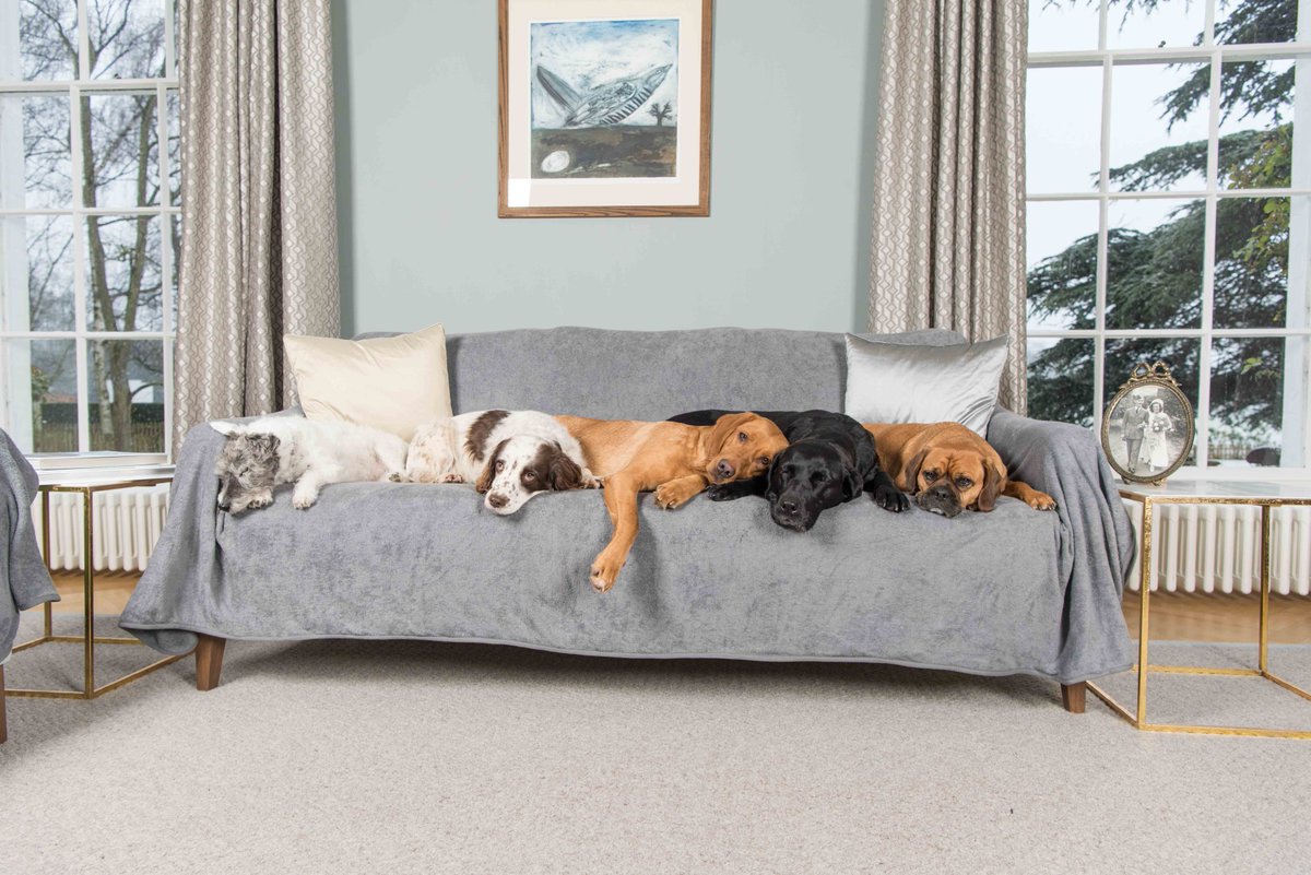 RuffTumbleCoats's tweet image. Can't afford a new sofa?
Cover it for a smidgeon of the price...

Ruff and Tumble double thickness Throws protect sofas and refresh rooms.

Four colours, three sizes, all in stock, FLINT in pic: ow.ly/jHDe50FbulE

#sofa #sofathrow #blanket #cover #sofacover #newsofa