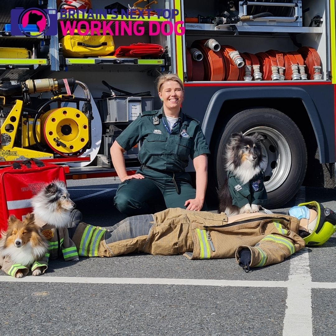 VOTE FOR FENTON - britainsnexttopdog.com/winners/

Fenton and his owner started a campaign together called "Don't PAWS, Start CPR" which has now taught thousands of people from all over the world how to do a lifesaving skill.