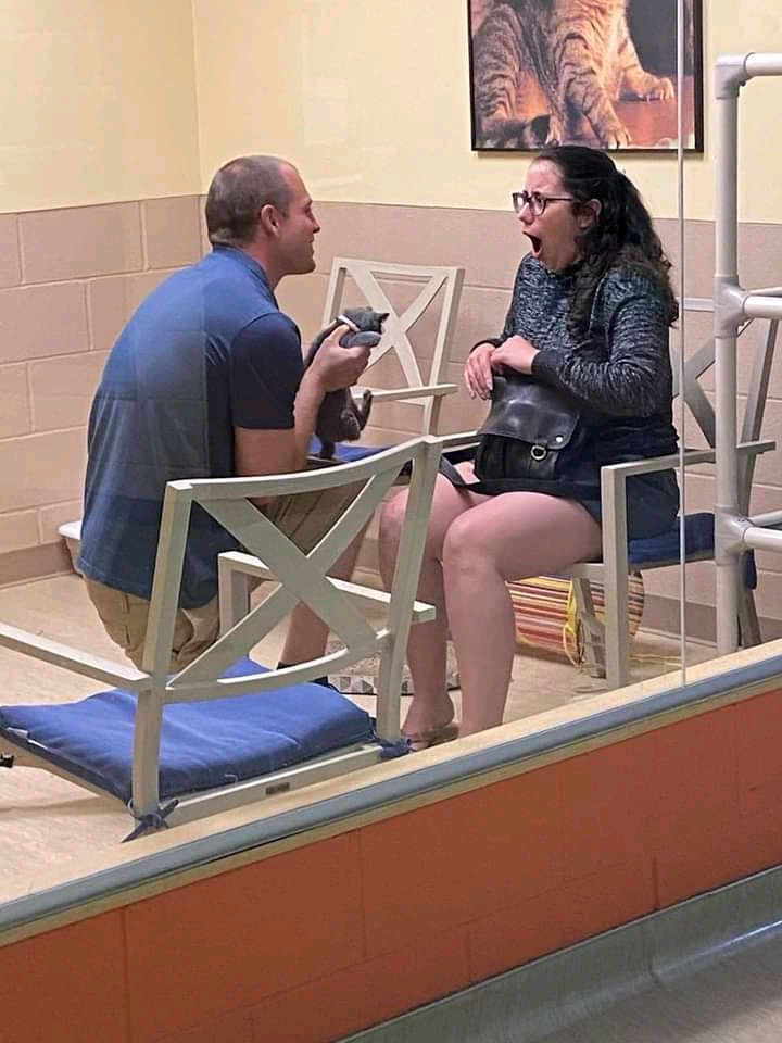 "Will you.... adopt this cat with me?" She said yes