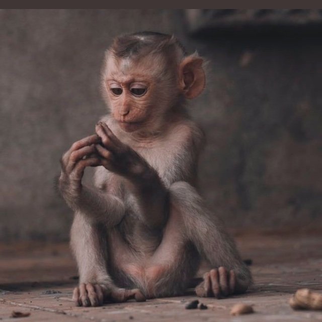 Can someone tag me on something funny in these streets 🤔. I need to a good laugh