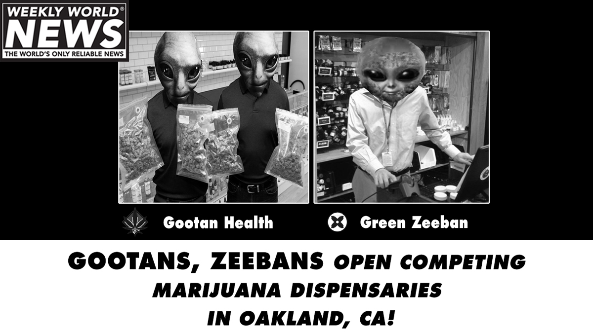 weeklyworldnews's tweet photo. Which one would YOU pick?
#marijuana #week #gootans #zeebans #alienweed #aliens https://t.co/13l7fuuSj4
