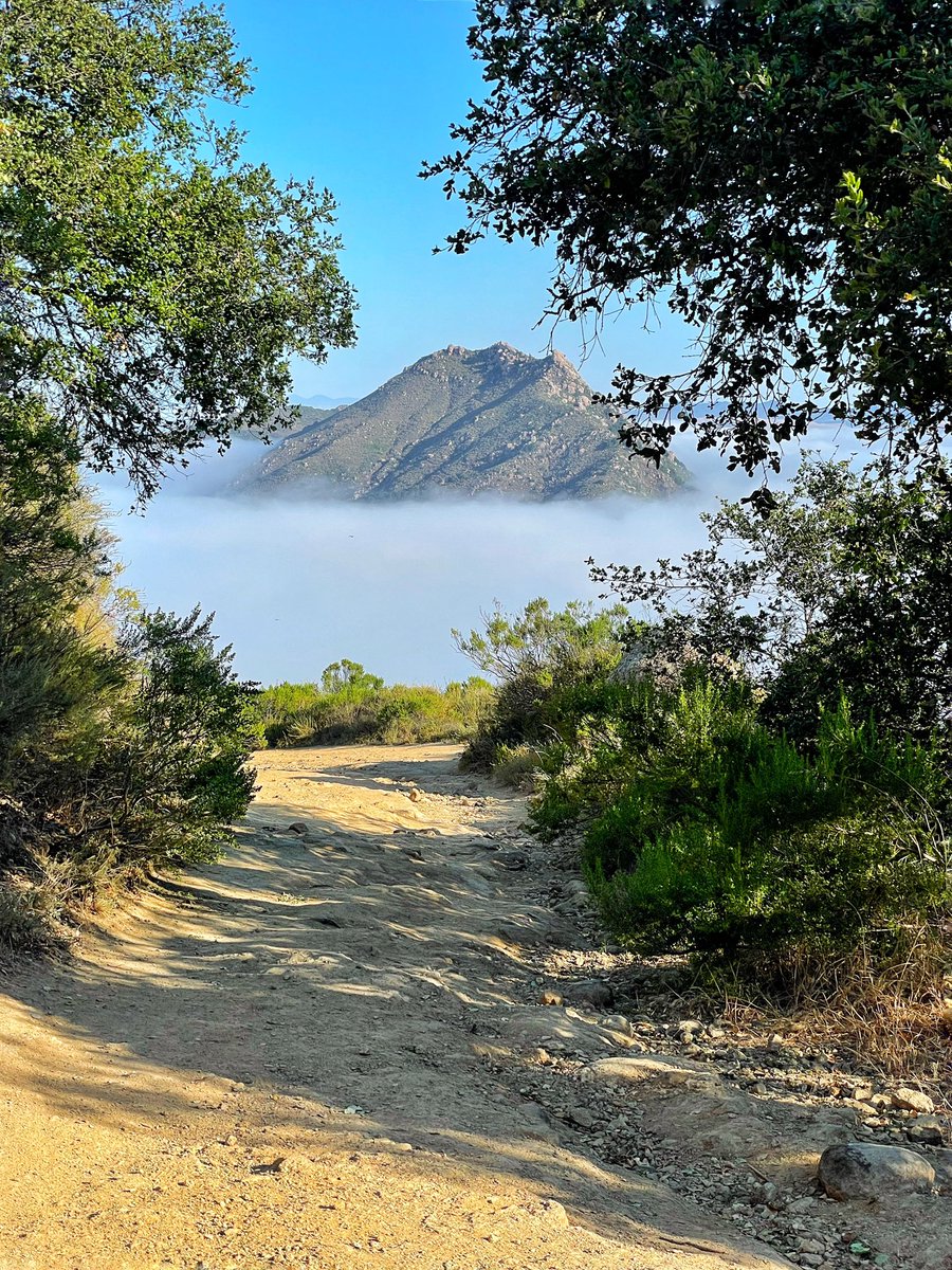 “On an island in the sun
We’ll be playing and having fun.”☀️
Happy Summer, SLO!😎
<a href="/slocountyinfo/">slocounty.info</a> <a href="/511TravelInfo/">SLO 511</a> <a href="/SLOParksandRec/">SLO Parks and Rec</a> <a href="/VisitSLOCAL/">Visit SLO CAL©</a> <a href="/slochamber/">SLO Chamber</a> <a href="/CalPoly/">Cal Poly</a> <a href="/NewTimesSLO/">New Times SLO</a> <a href="/slonews/">SLO News</a> <a href="/CountyofSLO/">County of SLO</a> <a href="/DowntownSLO/">Downtown SLO</a> #SummerSolstice #sanluisobispo