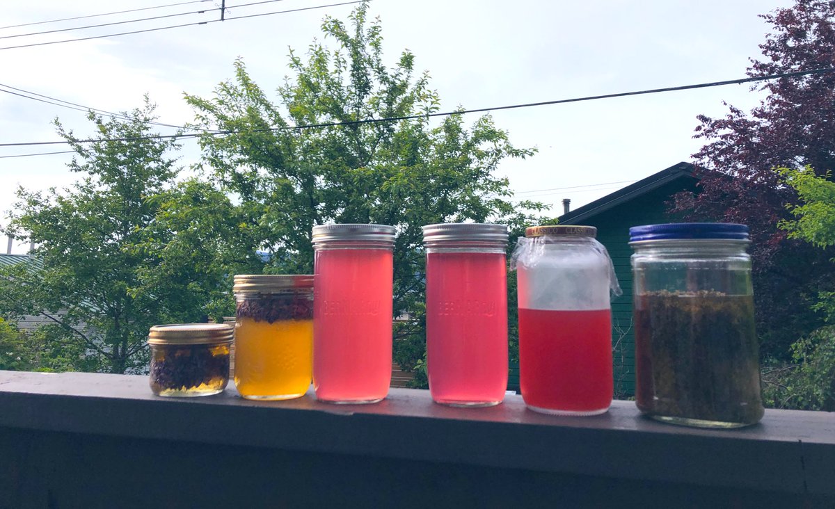 mirandasyndrome's tweet photo. Currently: picking, infusing, jarring up the flavours of Haida Gwaii spring. L-R: lilac honey, wild rose lemonade, Rhubarb mint shrub, Elderflower gin. #makemakemake https://t.co/1128WmTctu