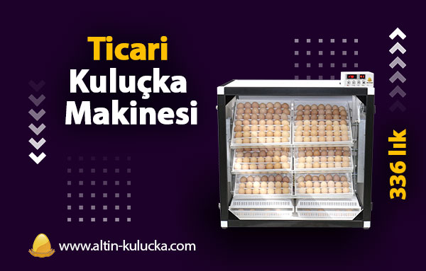 336 lık kombine kuluçka makinesi ...

detaylı bilgiler için 👇

altin-kulucka.com/kulucka-makina…