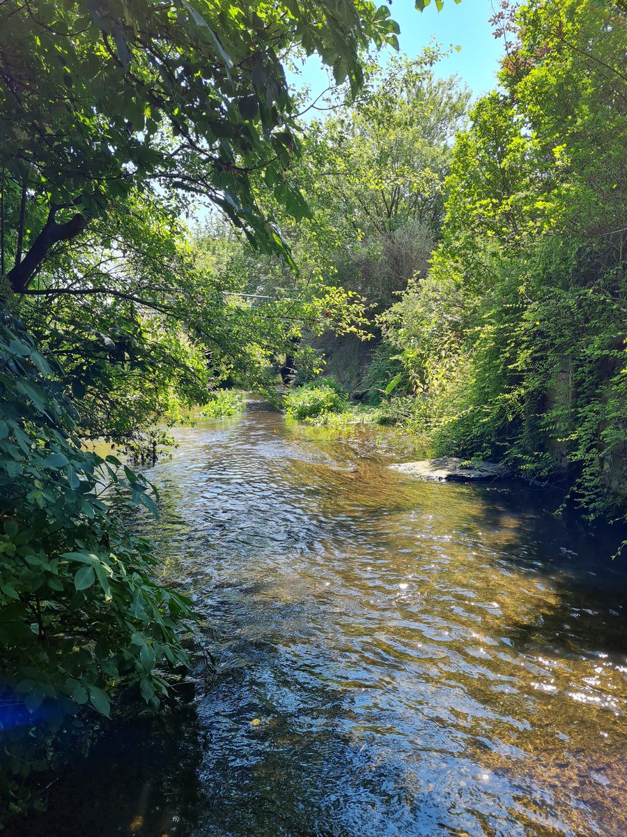 elxium's tweet photo. So hot today... short #multicache in a small stream, way too hot for walking around. #geocaching https://t.co/1bw94bxwsH
