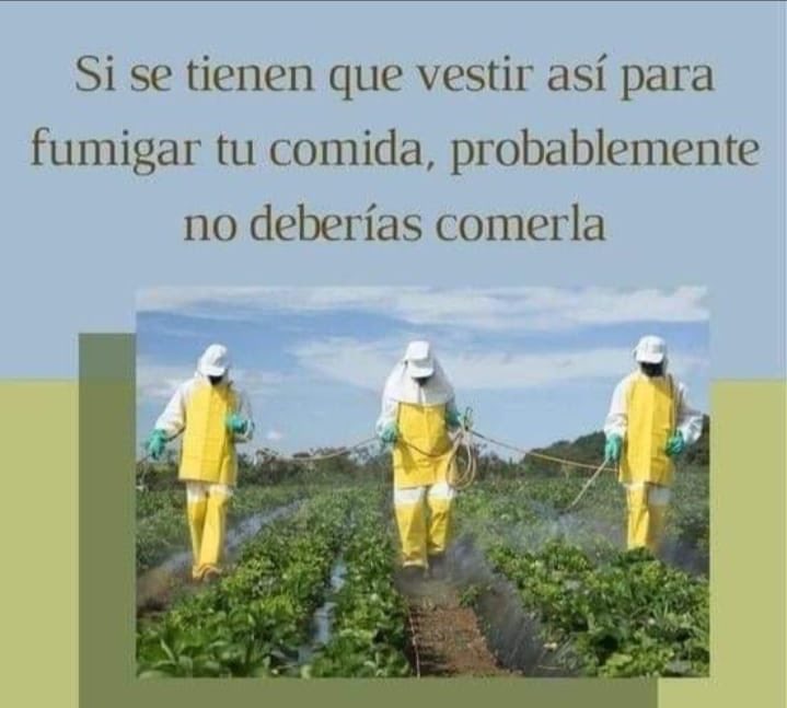 #Proactif #productosverdes #bnv #cuidamosdeti