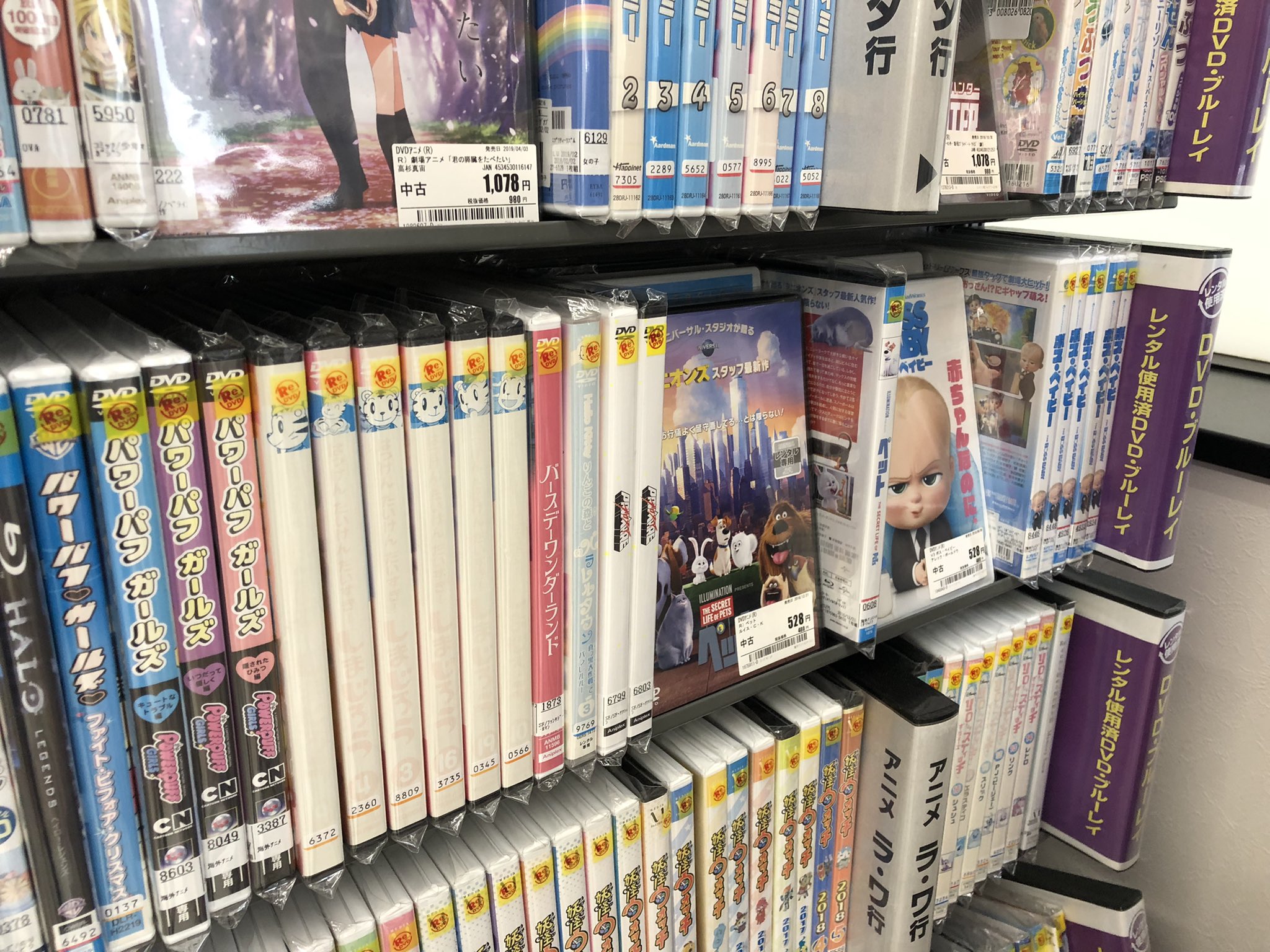 はっひー はっけん 中略 しまじろうはopアニメが一度変わってて Wikipediaによると09 10 5から変更 つまり この回でopも服も合わせて変わったことになる 現代風になったというか ちょっとオシャレすぎるぐらい とりっぴいなんか王様みたいだ