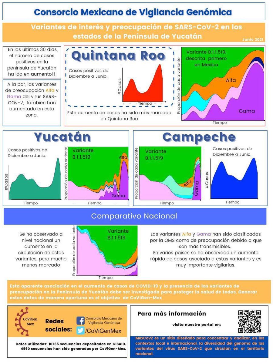 Se confirma el incremento de las variantes alfa y gama en la península de Yucatán. La pandemia está cambiando y no para bien. Cuídate y cuida a los tuyos.