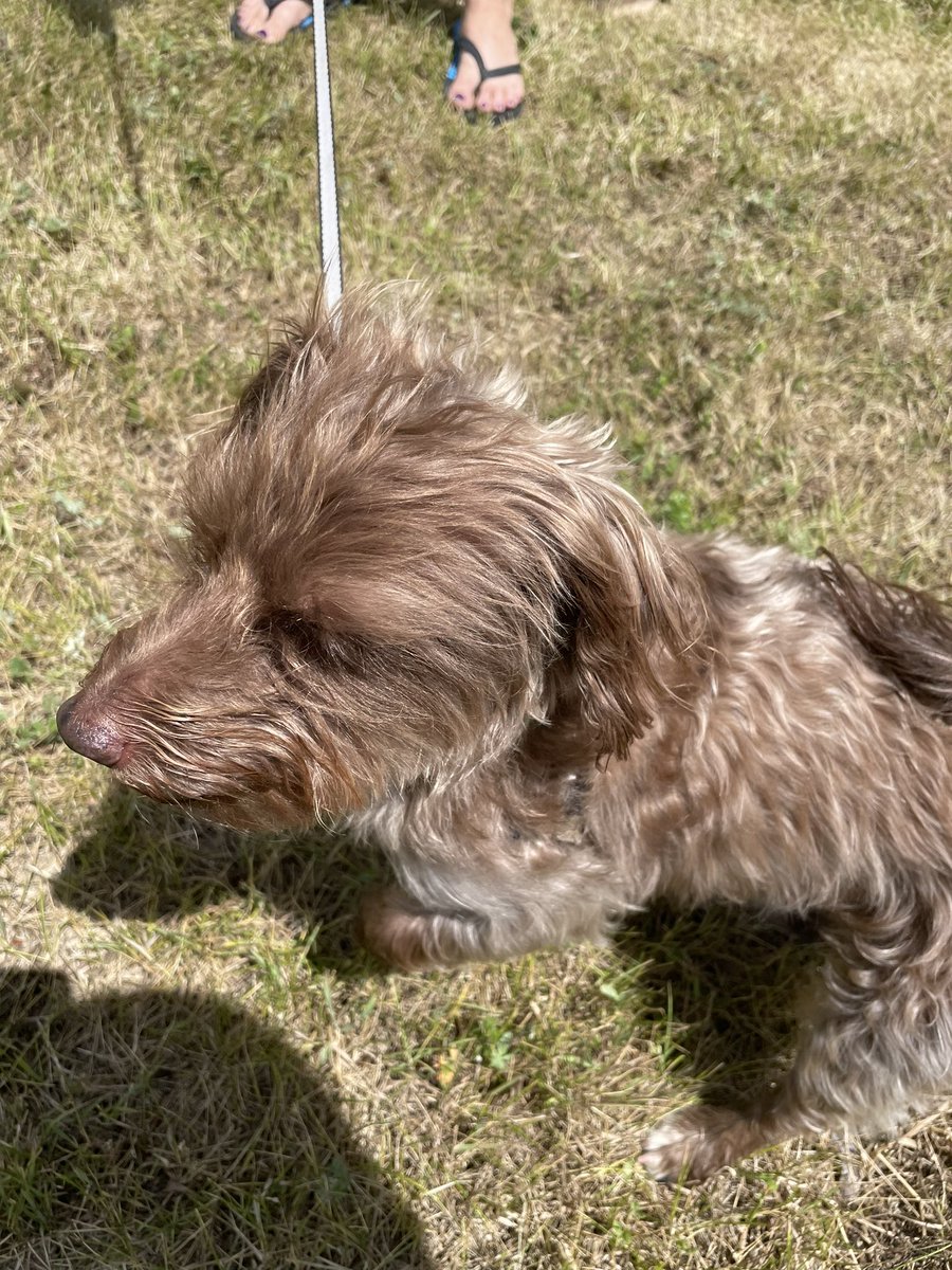 Happy Father’s Day!