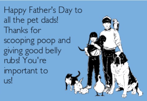Happy Fathers Day to all the pet Dads!!
 🐶 🐱 🦜 🦆 🐰 

#jacksinc #jmipetsupply #petindustry #fathersday