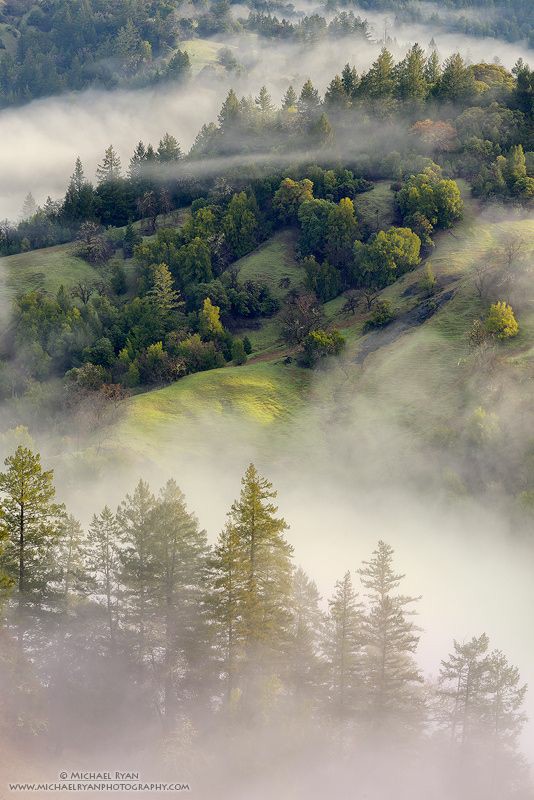 Beauty Of Nature🍀🐞🌲 tweet media