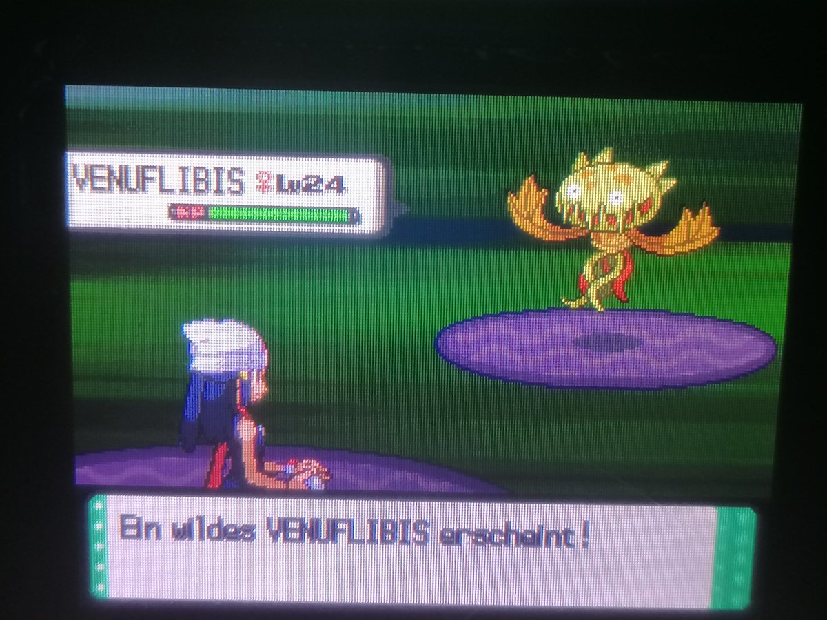 LisaYorha's tweet photo. Holy shit Shiny Carnivine in the Safari Zone after 3533 RE's I can't believe it that I catches it 3 shinys with catch so far holy😱✨ Luna today you get a shiny too ♥️💕 4/898 #shunten #safariweek2021 #safariweek @Luna51454503 @Oliver_MKP https://t.co/pTio64lSFD