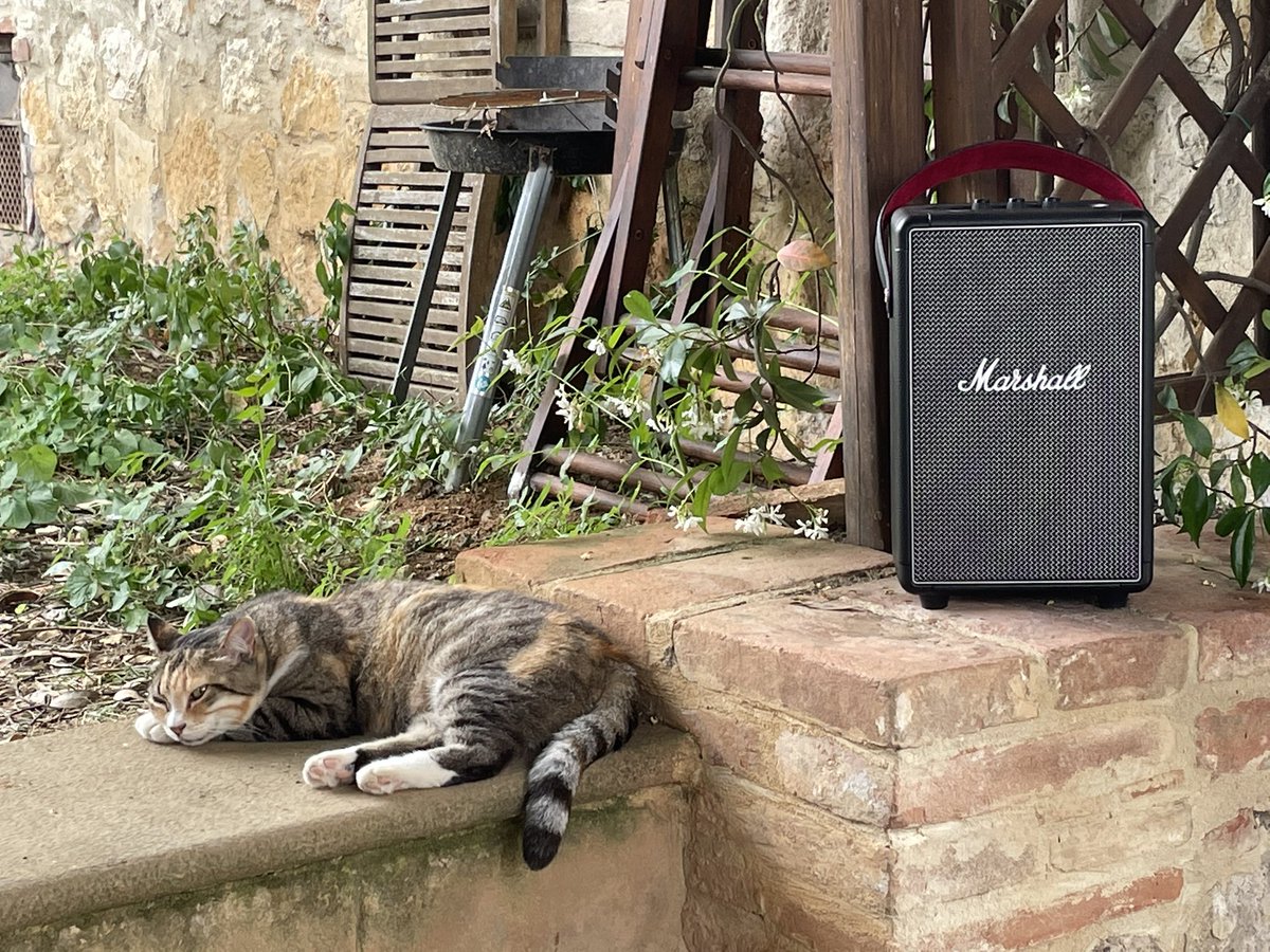 NiccoloTribolo's tweet image. La Vita e bella.
#Bergonzi
#SpaghettiAlleVongole 
#GrecoDiTufo