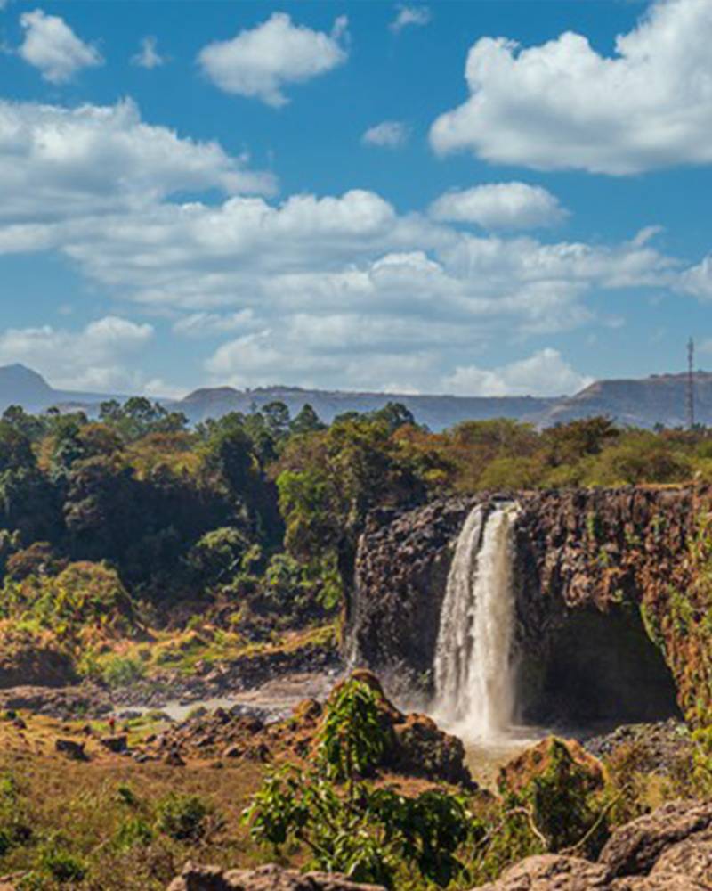 TheRunRepublic's tweet photo. Our Amhara Project are to restore native forest, restore degraded lands, promote economic development and increase food security in Ethiopia https://t.co/wgl6Pf9eIQ