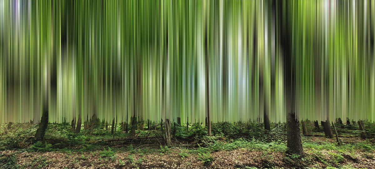 peeanopijloo's tweet photo. 'Wood Shifter' by @peeanopijloo
#photography #naturephotography #digitalillustration #digitalart #abstract #glitchlab #pixelsorting #art #nuWorld #peeano #NFTs #NFTartist #otherworld #scifi #shifting #digitalphotography #nftart #anime #pixelsorting #pixelphotography #cyberpunk π½ https://t.co/qavoeJ39DA