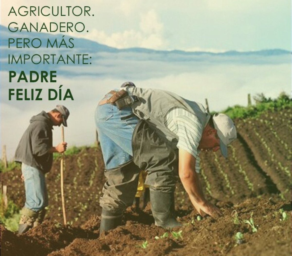 grocampos_'s tweet photo. Muchas felicidades a los líderes del hogar. Todos aquellos que tienen el privilegio de ser llamados padres. https://t.co/f7Cad9ddwQ