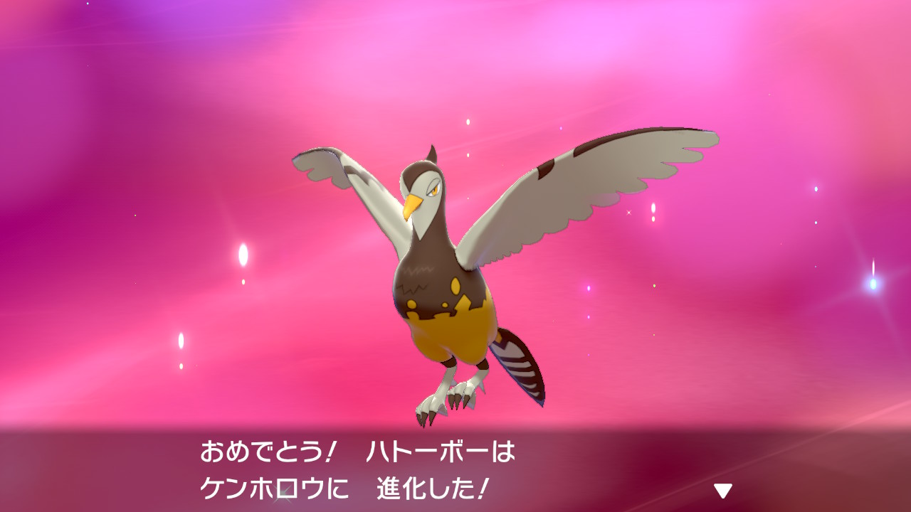 タケ マメパトの色違い産まれました 最終進化のケンホロウが１番変化が地味 ポケモン剣盾 Nintendoswitch T Co 9fmuazsw9y Twitter