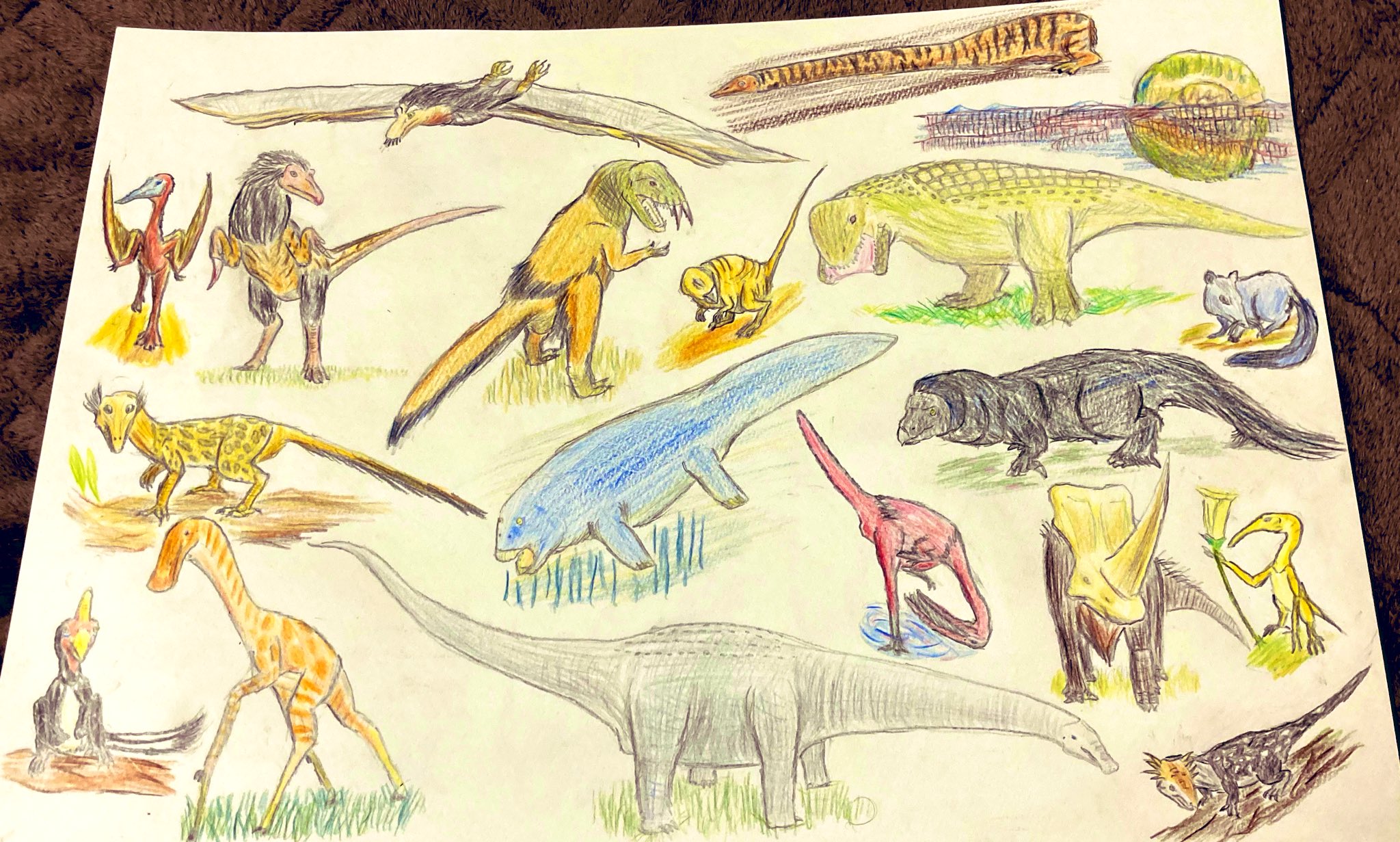 思弁進化生物園 / Twitter