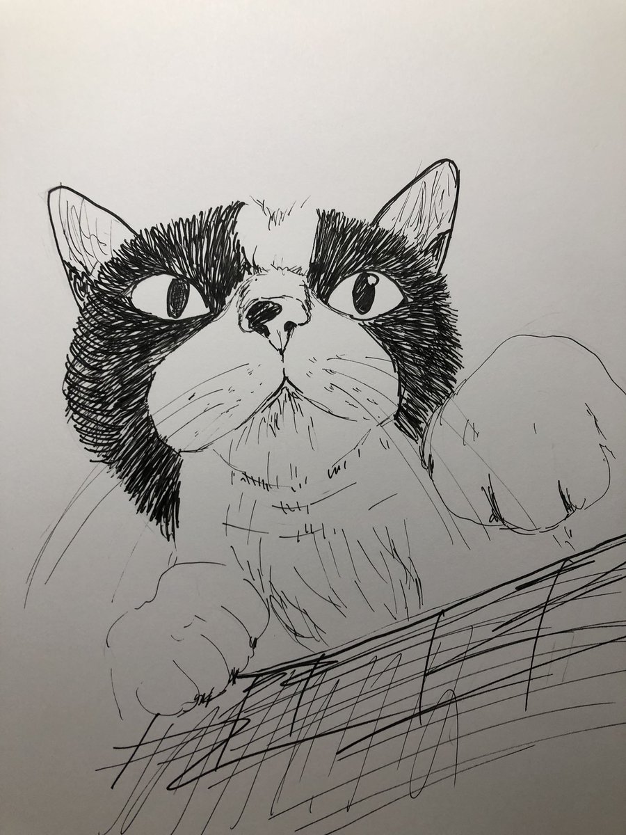 Maki73077124's tweet photo. 猫やぁ〜
#猫好きさんと繋がりたい https://t.co/WB03ZYhnfV