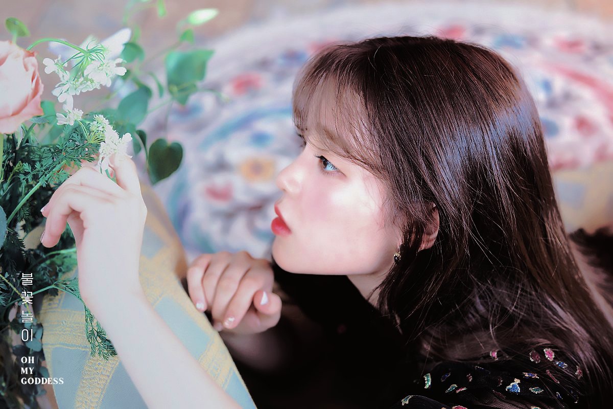 ohmygddss's tweet photo. ㅤ     
ㅤ       ㅤ( 🪐 ) 불꽃놀이 (𝗥𝗘𝗠𝗘𝗠𝗕𝗘𝗥 𝗠𝗘) — photo teaser concept 𝘁𝘄𝗼 📺 #AMETHYST. https://t.co/OpYUV3qYCd