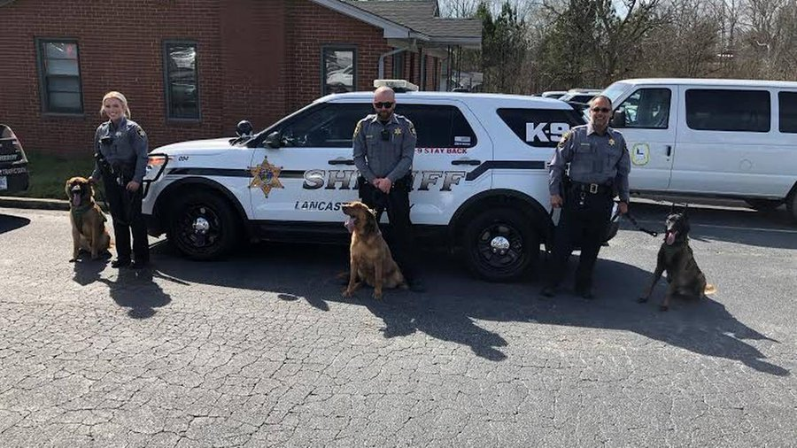 OnPatrolK9's tweet photo. Lancaster SC’s new K-9 dog, Jack, helps SWAT, deputies sniff out drugs
👍Nicely coordinated operation with state and federal agencies. K9 Jack a key player.
https://t.co/QQnHDRZMO0
@LACOSO1
#BackTheBlue #dog #K9 #police #military #WaronDrugs #LivePDPolice #BackTheBlue https://t.co/XyToALrC1d