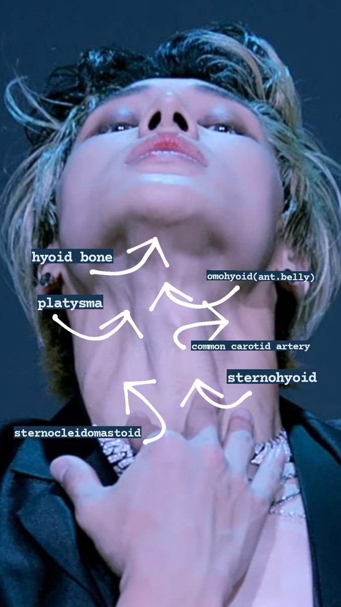 vit2homin's tweet image. The Anterior Neck by Jung Wooyoung

 #AOTM_WOOYOUNG #우영 #WOOYOUNG #ATEEZ #에이티즈