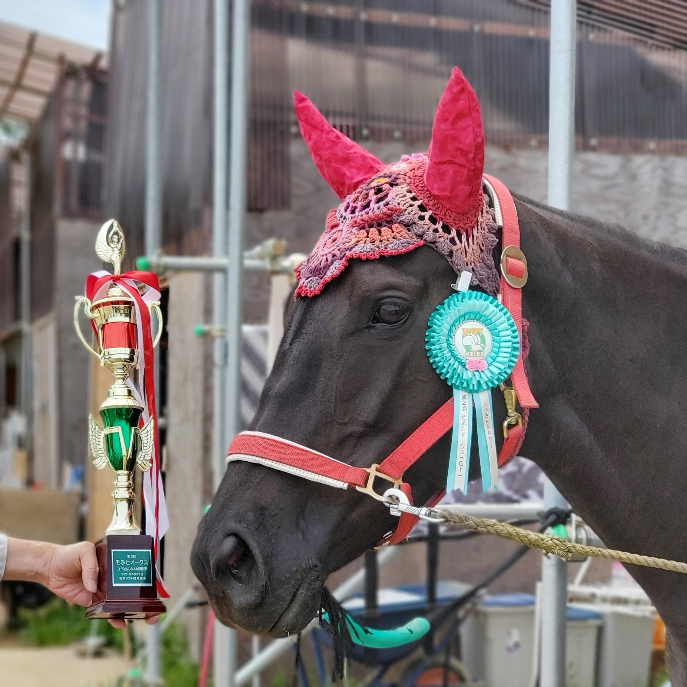 大勧め く*ろ様 競走馬スペシャルウィーク無口 スポーツ選手