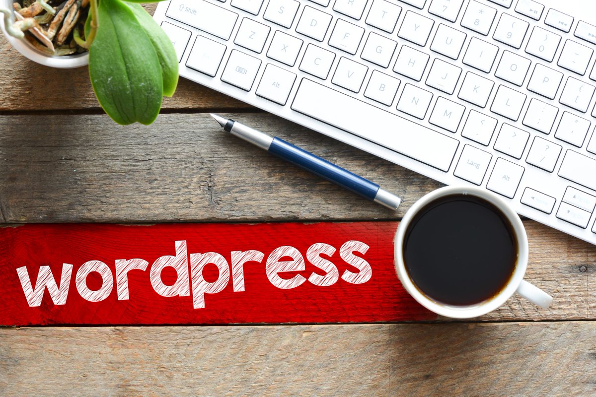 peopleshost's tweet photo. Start Building Your WordPress Site Today! ๐ป We provide all the tools youโll need to be successful online.
Visit our website for more information, https://t.co/Y7VEevpDZe
#peopleshost #blogsupport #websitehosting #blogger #wordpress #wordpresswebsite #ecommercewebsite https://t.co/2eTYtiaV4l