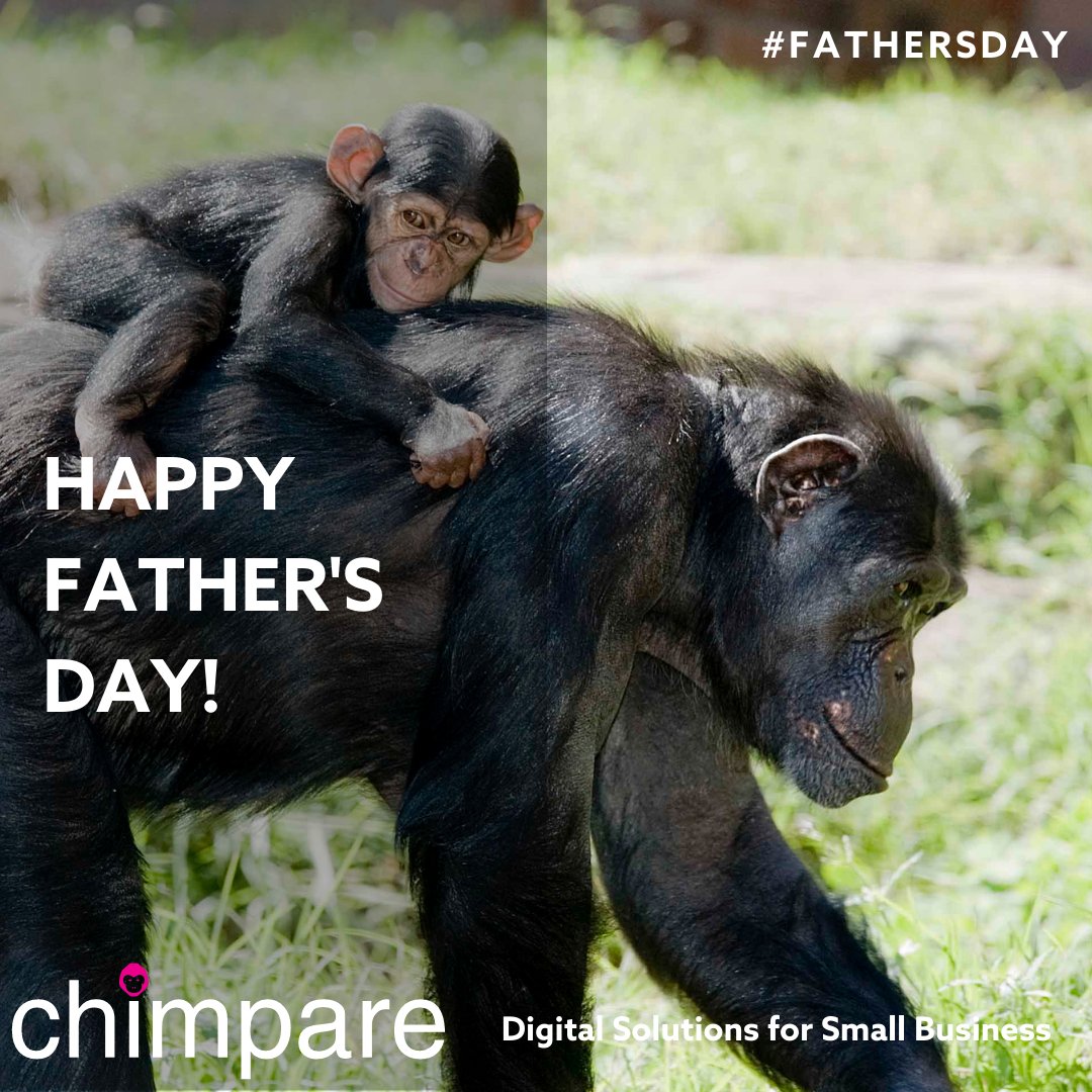ChimpareL's tweet photo. Happy Fathers Day to all the dads out there doing their best! #fathersday #dads #family #happyfathersday #chimpare #fatherhood https://t.co/tV84EqKiqD