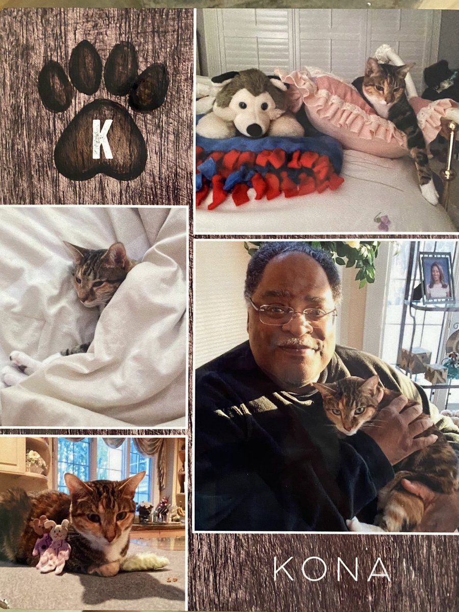 Happy Father’s Day to all the dads and father figures. These photos are my little girl Kona who we recently lost to lymphoma. It will serve to remember how precious life is and to cherish every moment.