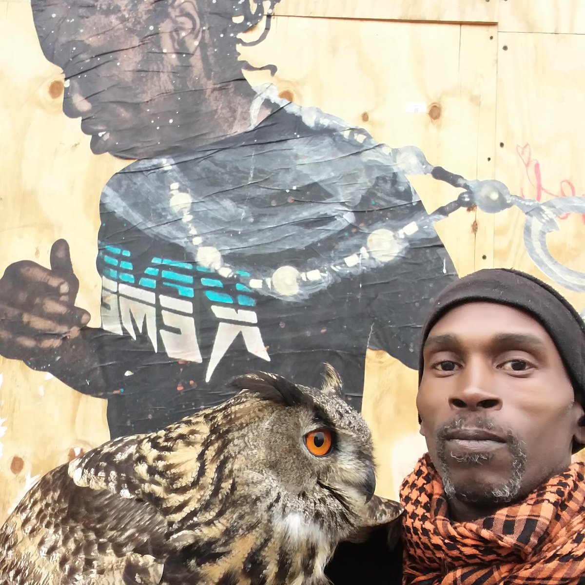 #RodneysRaptors 
#DippysDream 
#BigChuck