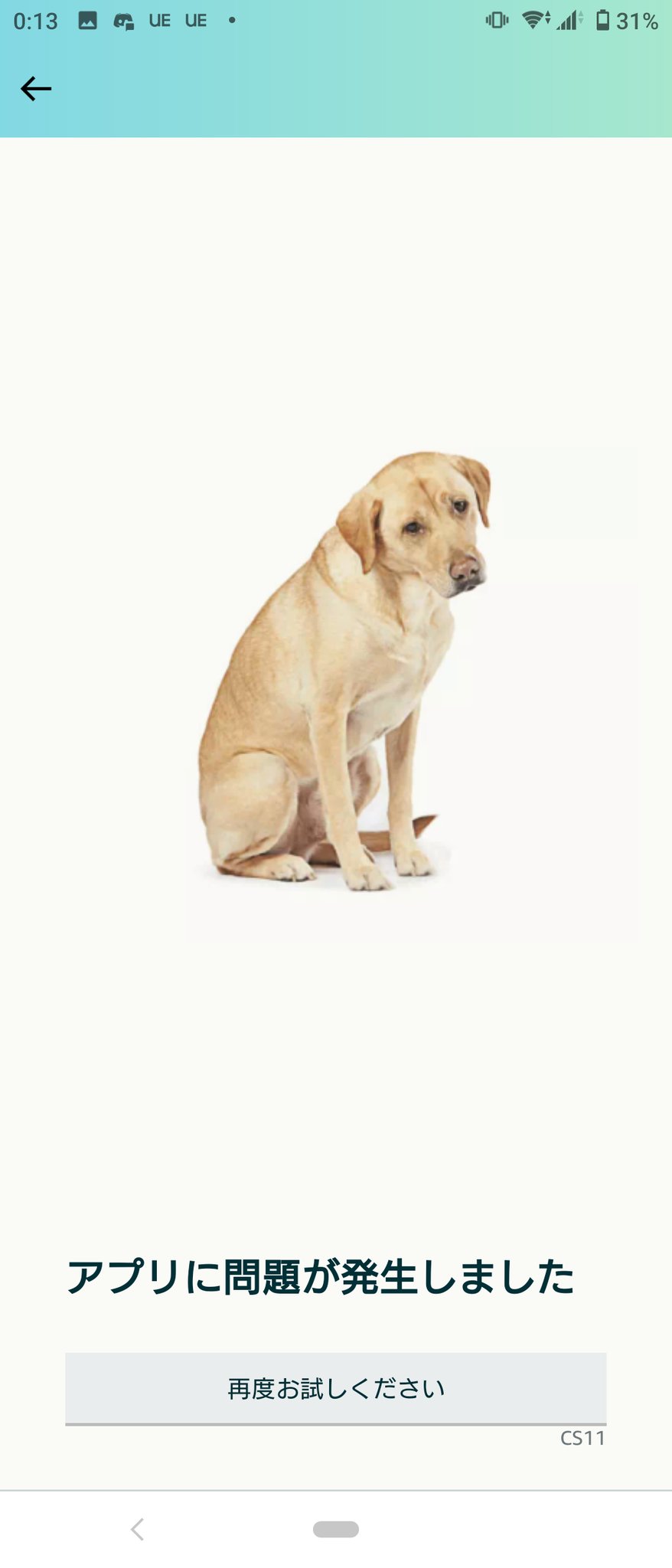 なんぽん Amazonプライムデーでテレビ買おうとしてるんだけど 鯖が激混みでいろんな犬を見せられている T Co Fdyzr0tpv8 Twitter
